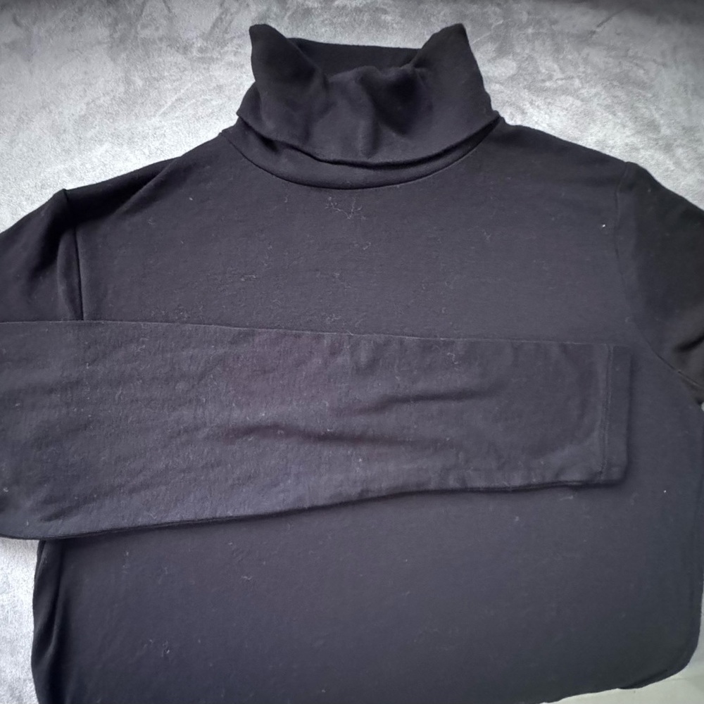 Zara Turtleneck Sweater